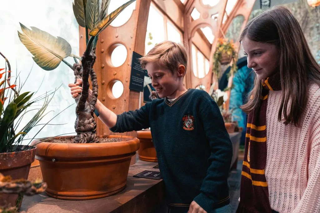 Harry Potter - The Exhibition Krakow: Fast Track Ticket + Transfers
