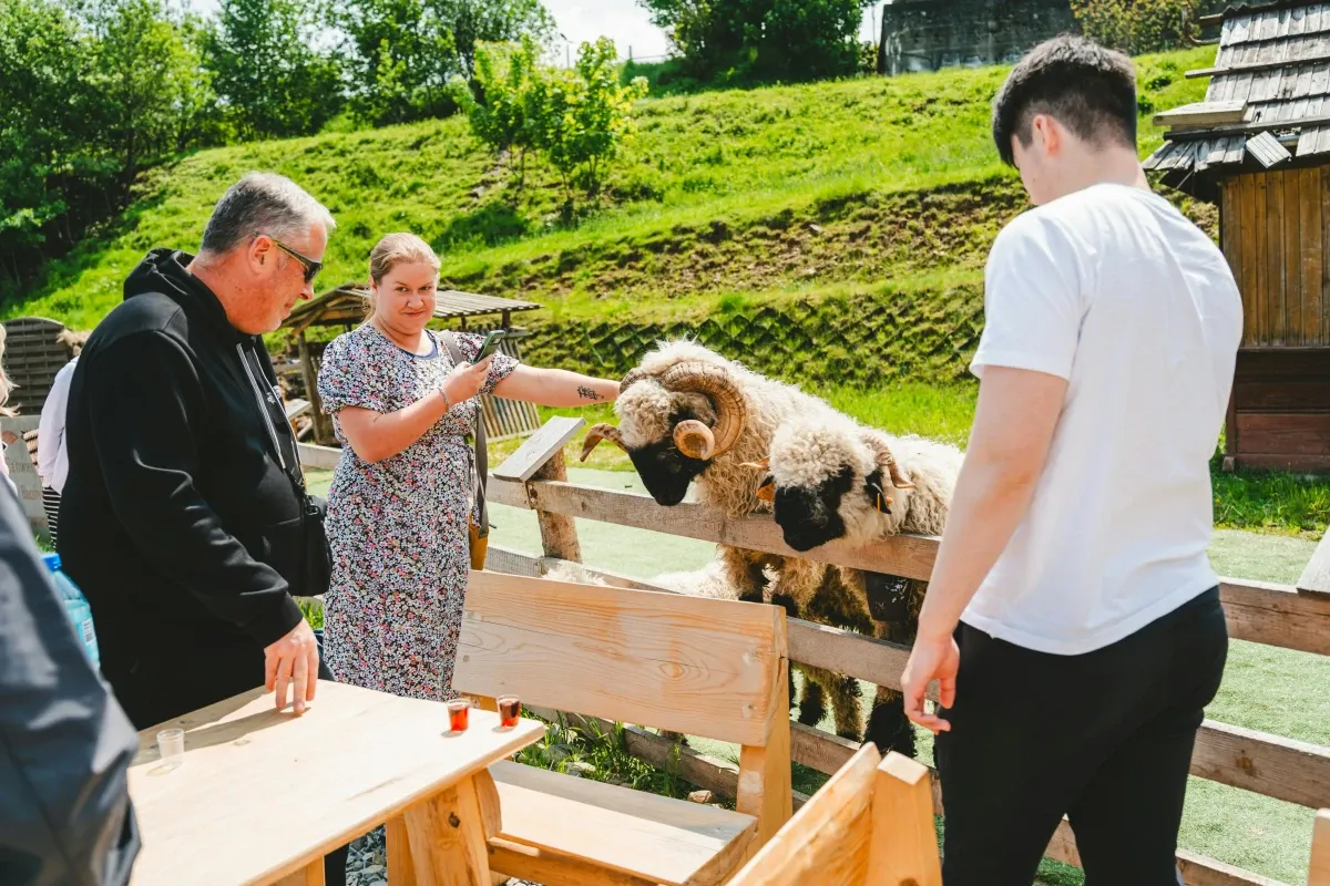 Zakopane: Visita guiada com piscinas termais + traslado do hotel a partir de Cracóvia
