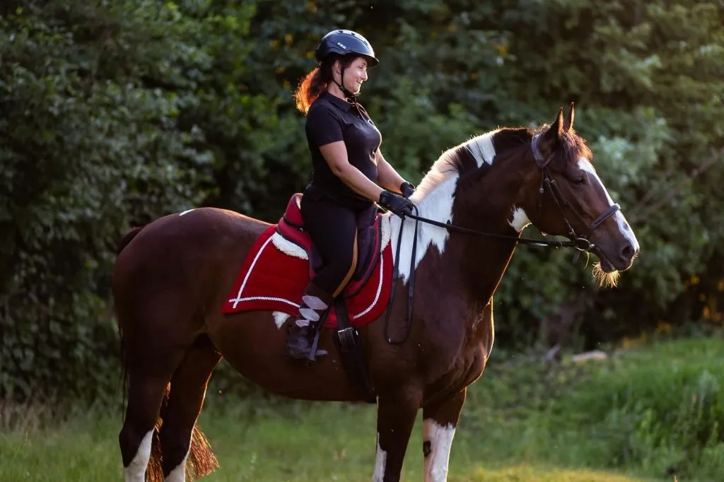De Cracóvia: Passeio a cavalo de meio dia à beira do lago
