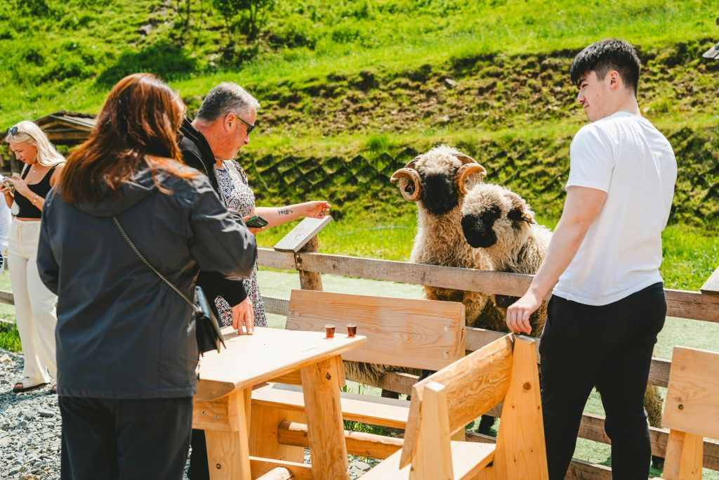 Zakopane: Day Trip from Krakow by Train
