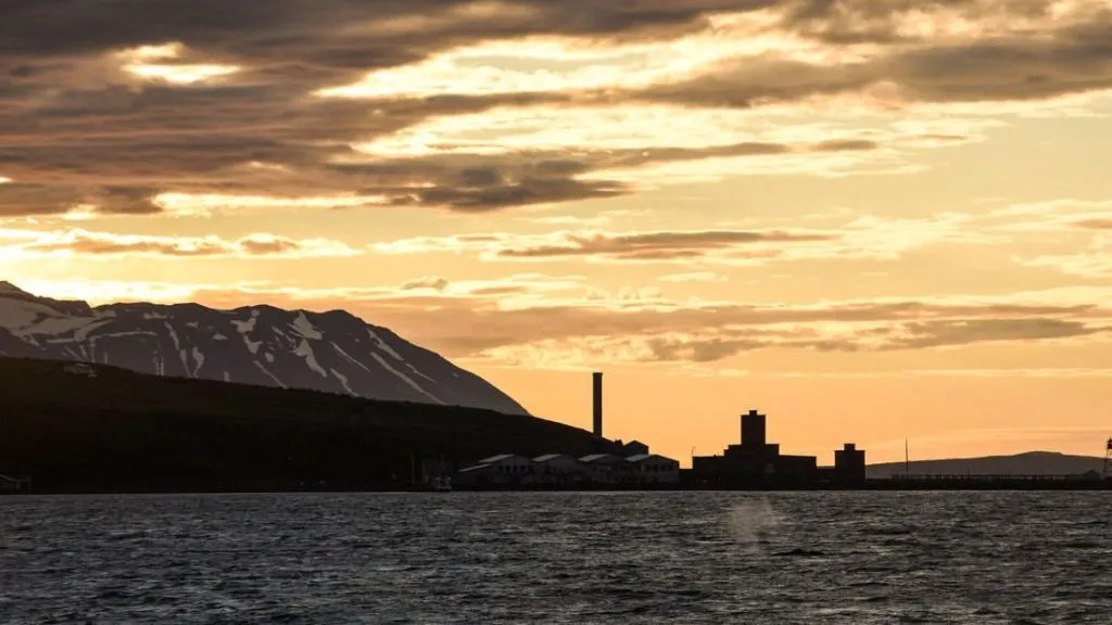 Akureyri: Cruzeiro RIB para observação de baleias ao sol da meia-noite