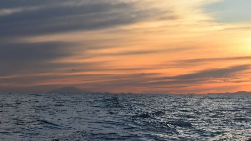 Akureyri: Cruzeiro RIB para observação de baleias ao sol da meia-noite
