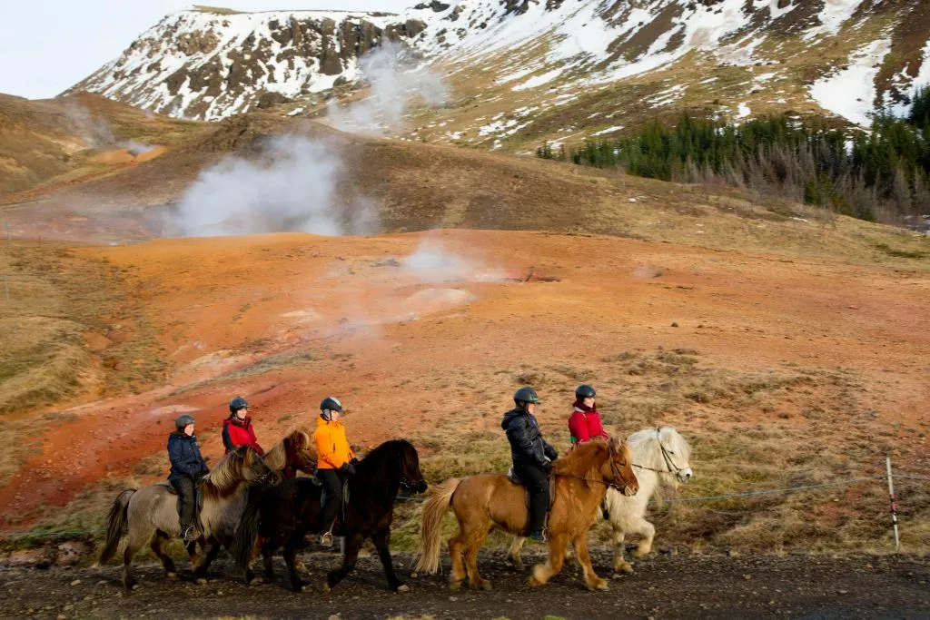 Islandia: Excursión a Caballo - Aguas Termales