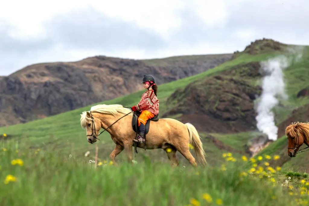 Islandia: Excursión a Caballo - Aguas Termales
