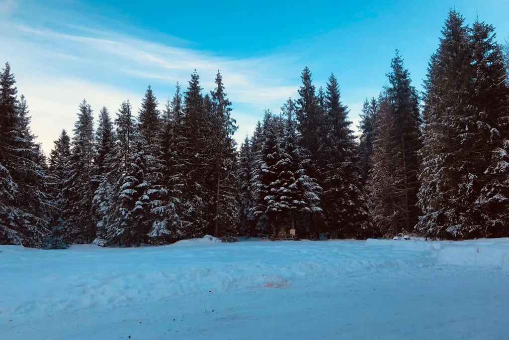 Zakopane e passeio de trenó com fogueira - Excursão particular saindo de Cracóvia