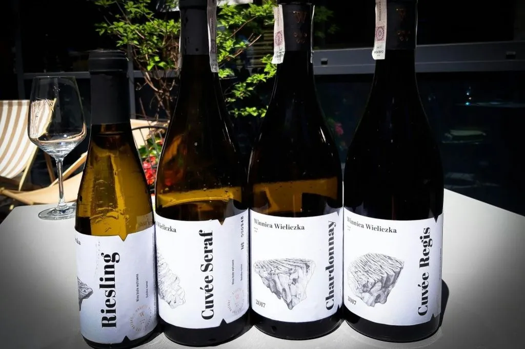 Wieliczka : Visite d'un vignoble et dégustation de vin depuis Cracovie