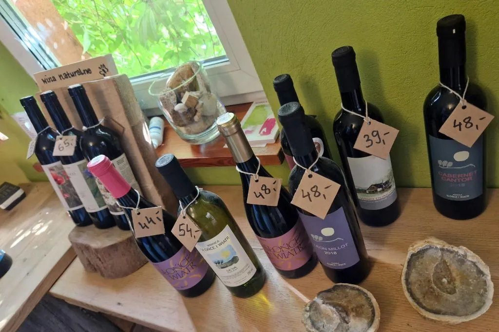 Wieliczka : Visite d'un vignoble et dégustation de vin depuis Cracovie