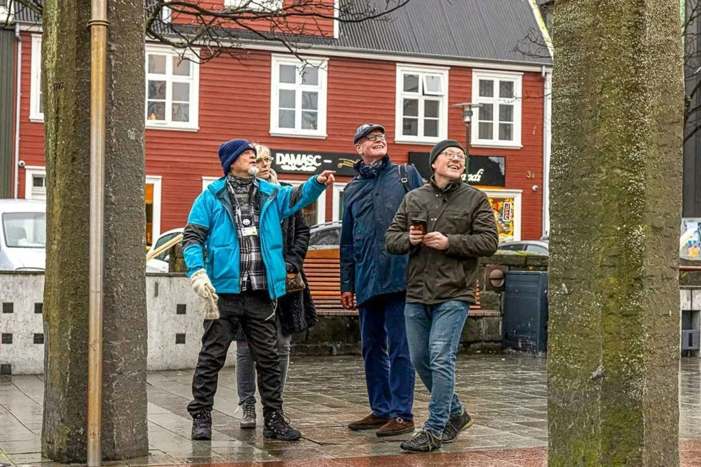 Reykjavik: Private City and Food Walking Tour
