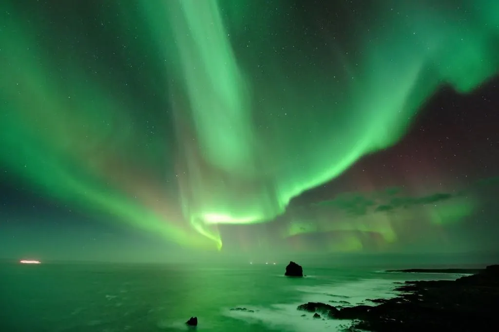 Northern Lights: 3-Hr Small Group Bus Tour + Transfer
