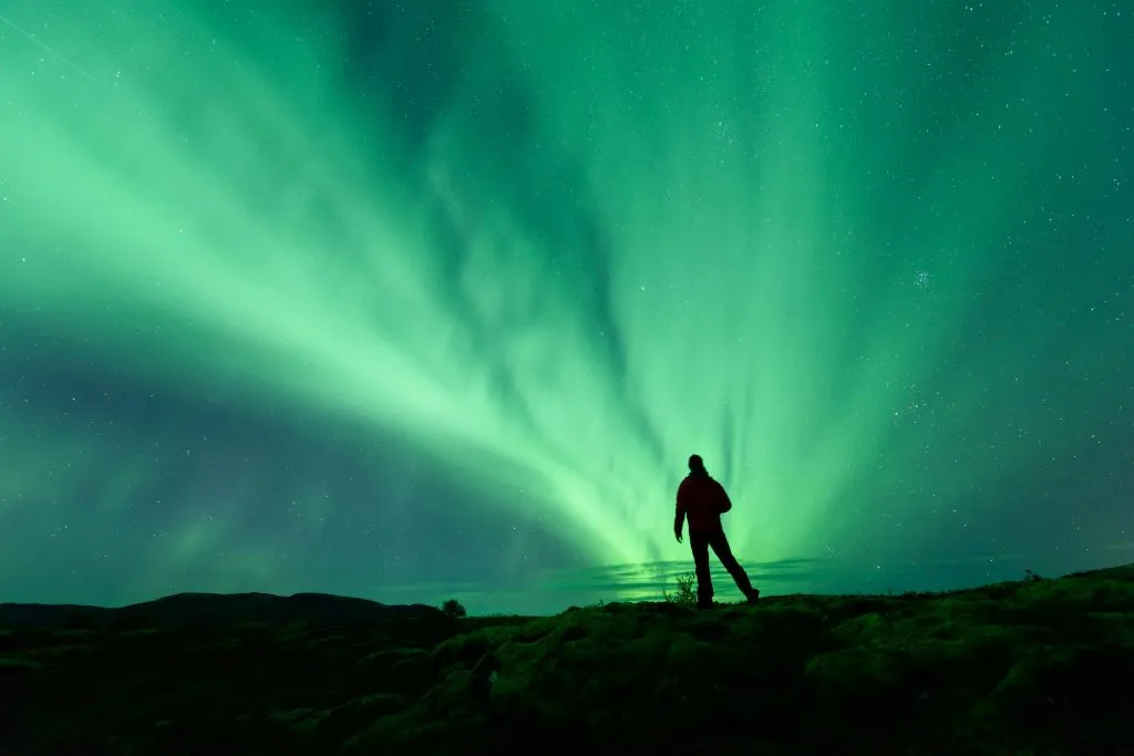 Northern Lights: 3-Hr Small Group Bus Tour + Transfer