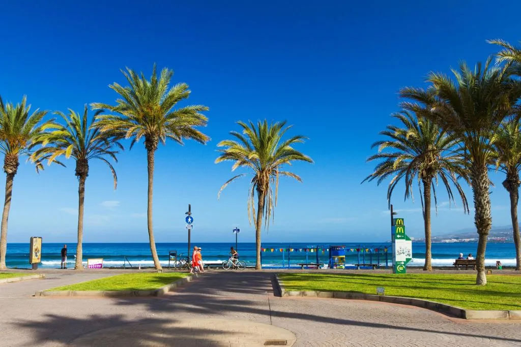Tenerife: Excursión guiada por la isla + Traslado de ida y vuelta