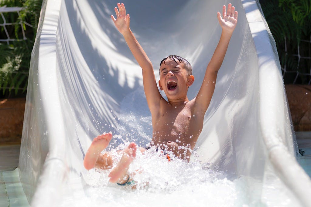 Loro Parque y Siam Park: Entrada + Traslados