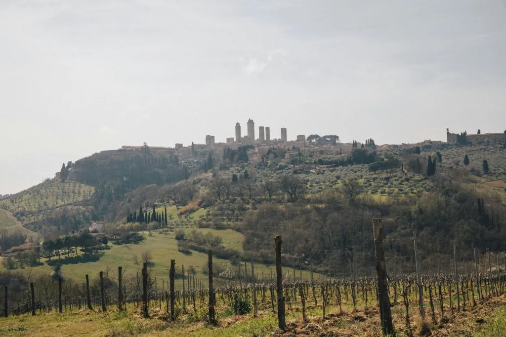 Pisa, Siena, San Gimignano e il Chianti: trasferimento da Firenze