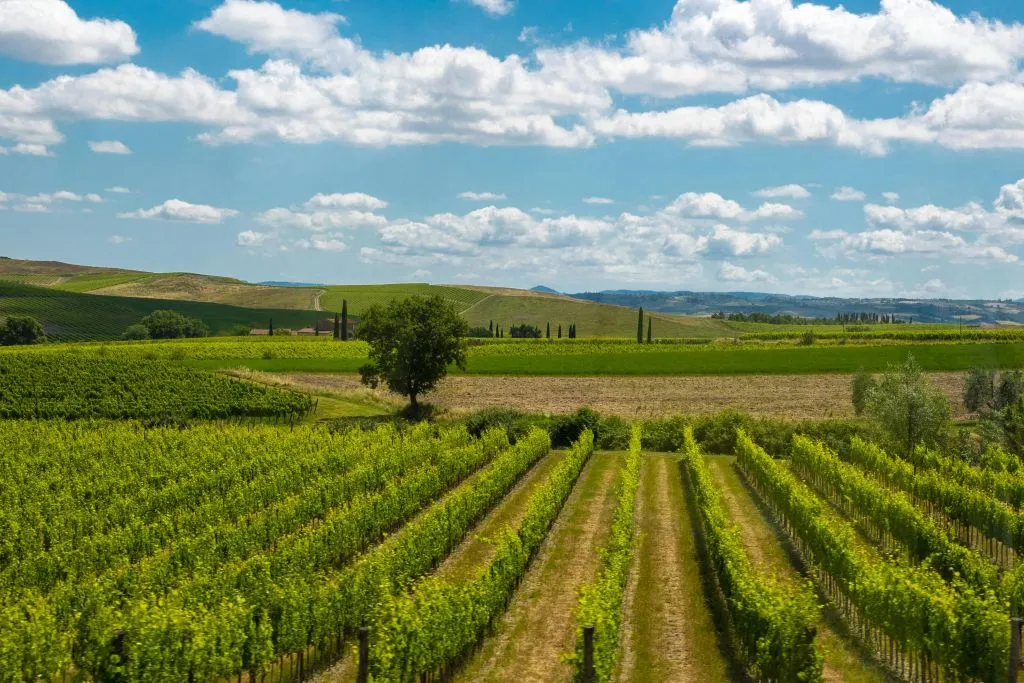 Monteriggioni & Val d'Orcia: Bus Transfer from Florence