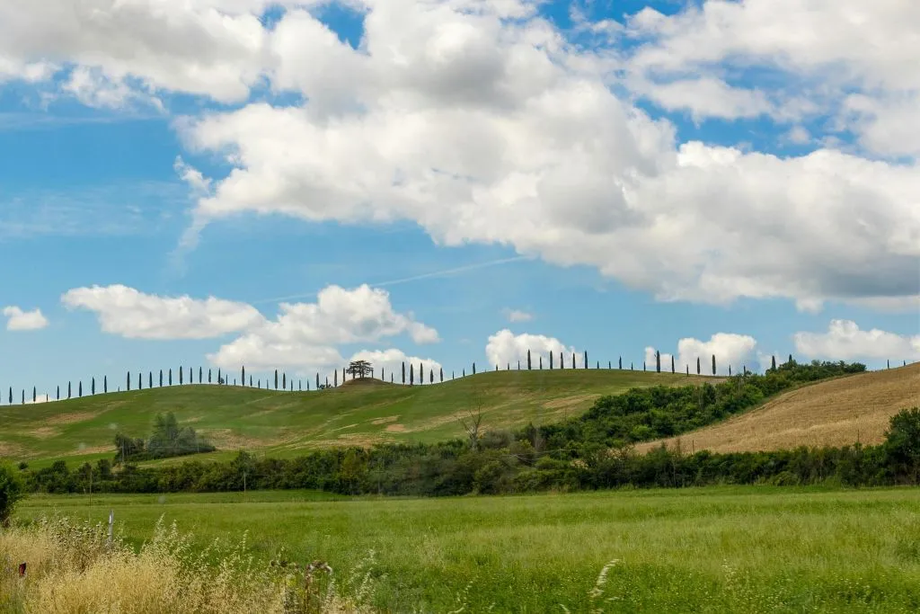 Monteriggioni & Val d'Orcia: Bus Transfer from Florence