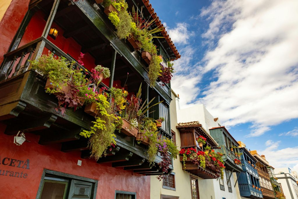 La Palma: Tour guidato per gruppi ristretti da Tenerife + Pranzo + Tour in barca