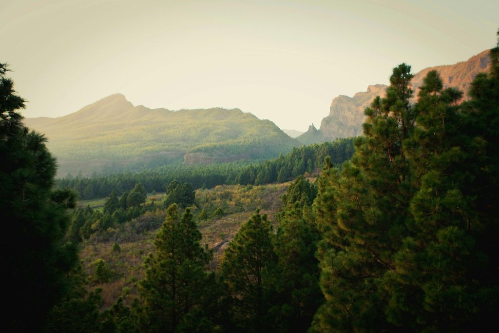 La Palma: Tour guidato per gruppi ristretti da Tenerife + Pranzo + Tour in barca