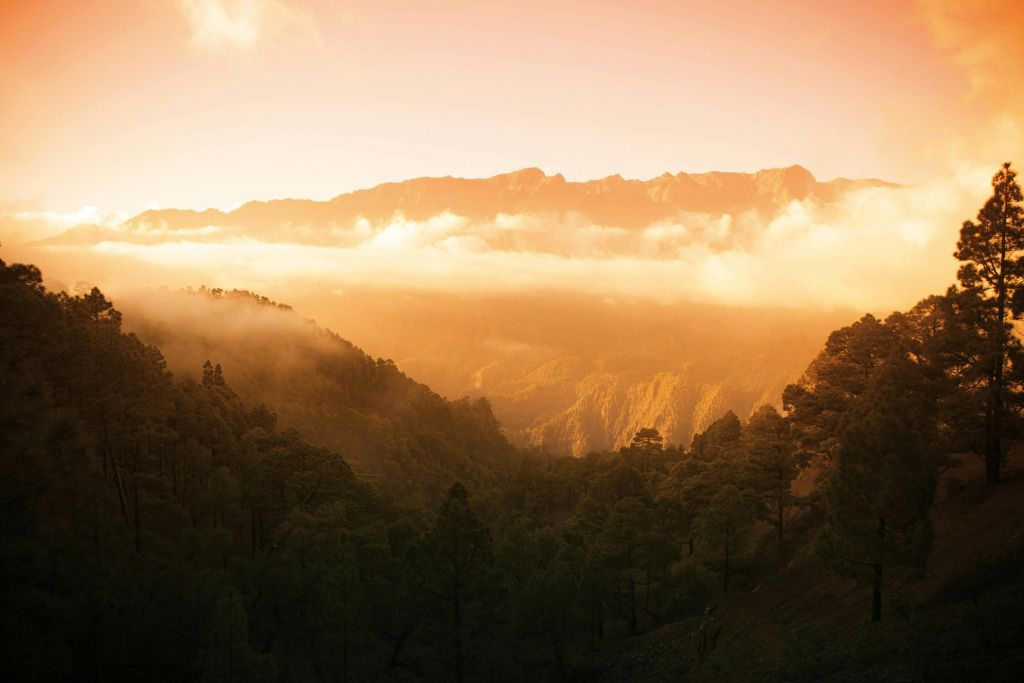 La Palma: Tour guidato per gruppi ristretti da Tenerife + Pranzo + Tour in barca