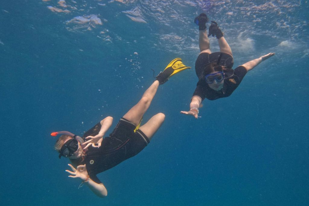 Tenerife: Experiencia guiada de snorkel