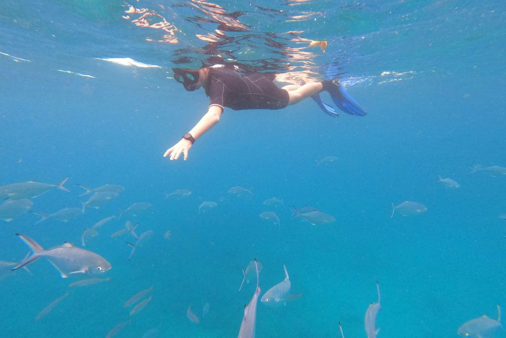 Tenerife: Experiencia guiada de snorkel