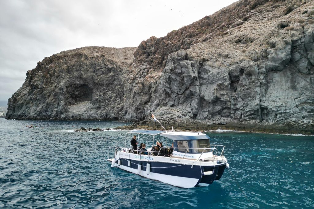 Tenerife: Experiencia guiada de snorkel