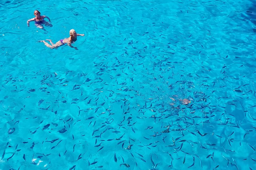 Parga, Syvota et la lagune bleue : Croisière en bateau d'une journée au départ de Corfou