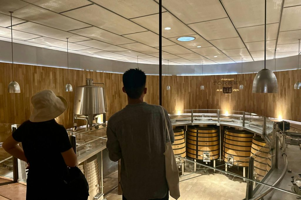 Penedès: Half-Day Guided Tour from Barcelona + Brunch + Wine Tasting