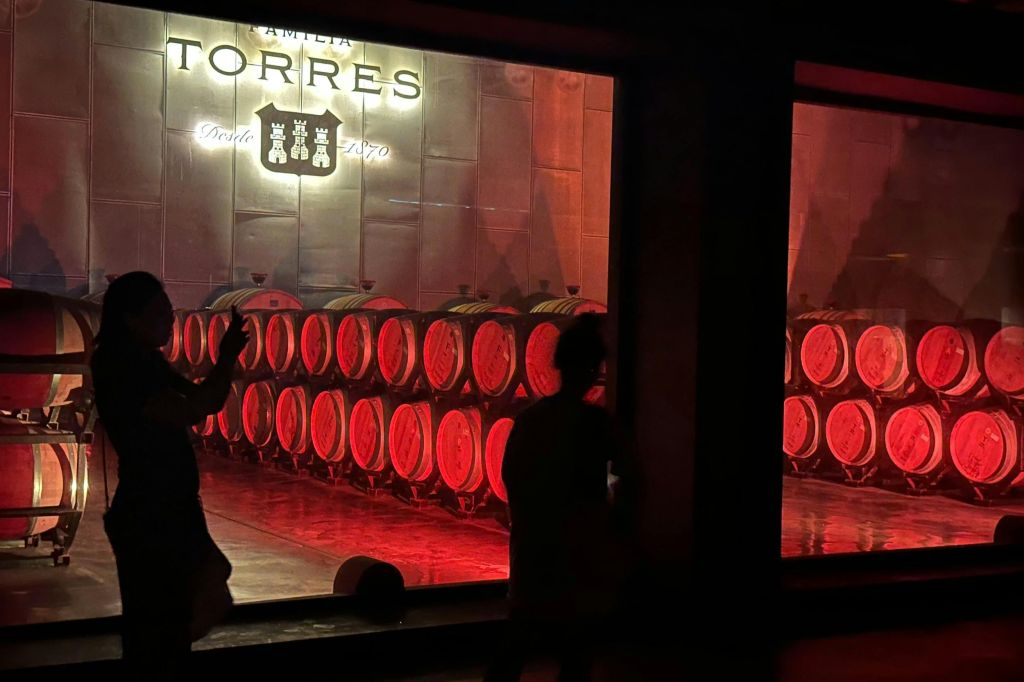 Penedès: Half-Day Guided Tour from Barcelona + Brunch + Wine Tasting