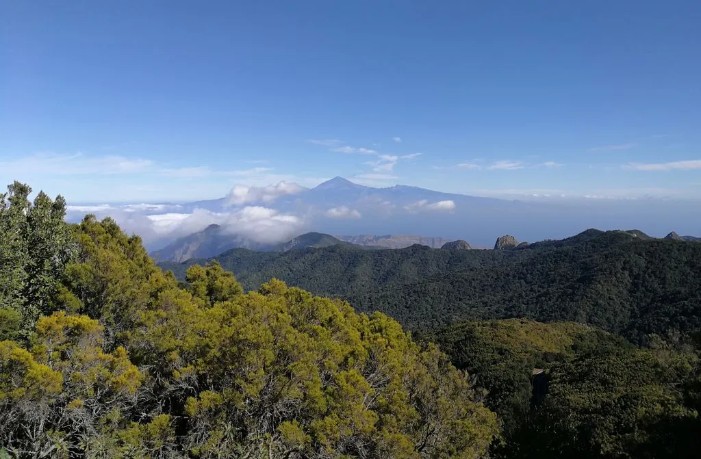 Excursión de un día a La Gomera desde Tenerife