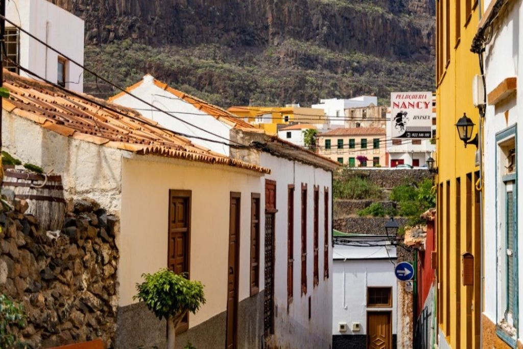 La Gomera: Excursión guiada de un día desde Tenerife + Paseo en barco + Almuerzo