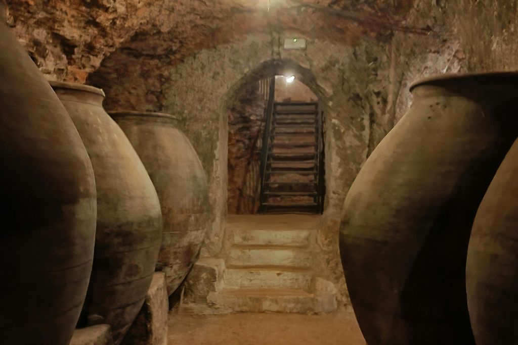 Alcalá de Henares: Tour guidato della città e delle cantine da Madrid + degustazione di vini