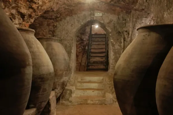 Alcalá de Henares: Visita guiada à cidade e às adegas a partir de Madrid + prova de vinhos