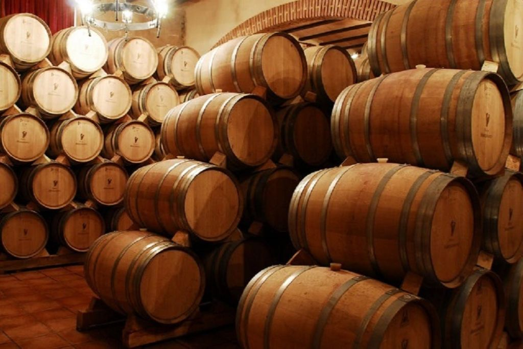 Alcalá de Henares: Guided City & Winery Tour from Madrid + Wine Tasting
