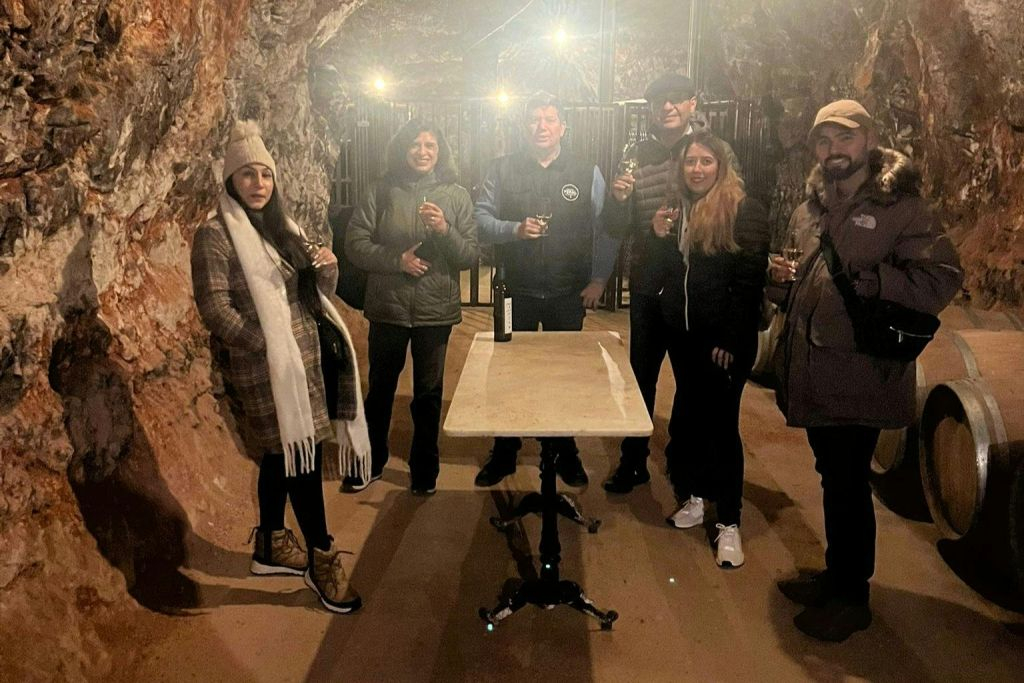Alcalá de Henares: Guided City & Winery Tour from Madrid + Wine Tasting