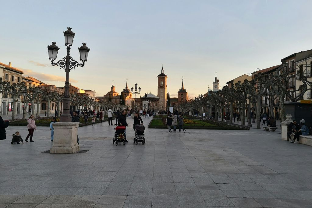 Alcalá de Henares: Guided City & Winery Tour from Madrid + Wine Tasting