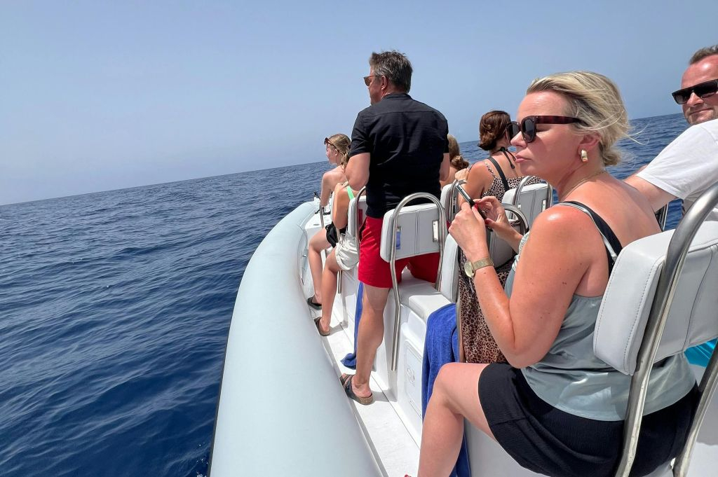 Fuerteventura : Croisière de 1,5 heure pour observer les dauphins + prise en charge à l'hôtel