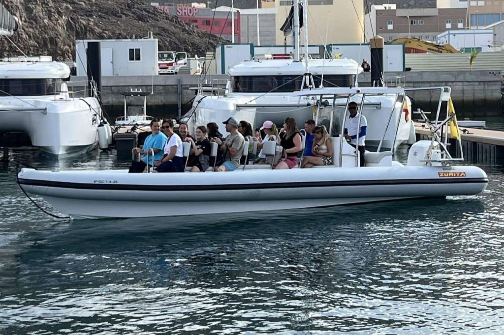 Fuerteventura : Croisière de 1,5 heure pour observer les dauphins + prise en charge à l'hôtel
