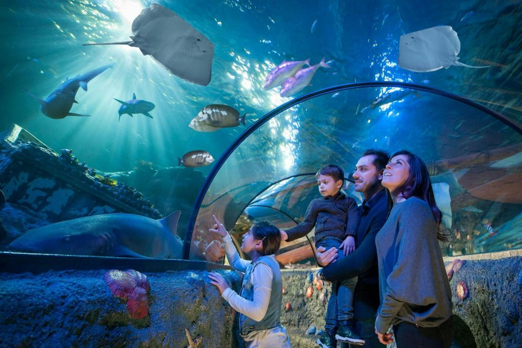 Gardaland Park, LEGOLAND® Water Park e SEA LIFE Aquarium: Pass Combo di 2 giorni