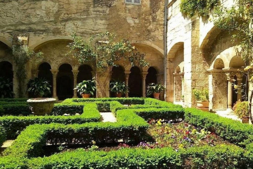 Provence : Visite guidée d'Avignon à la découverte de Van Gogh + entrée à Saint-Paul de Mausole
