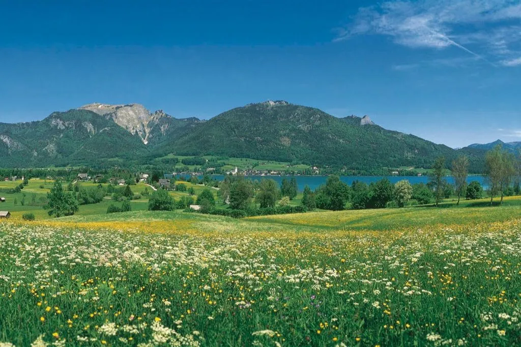 Salzbourg : Original Sound of Music Tour