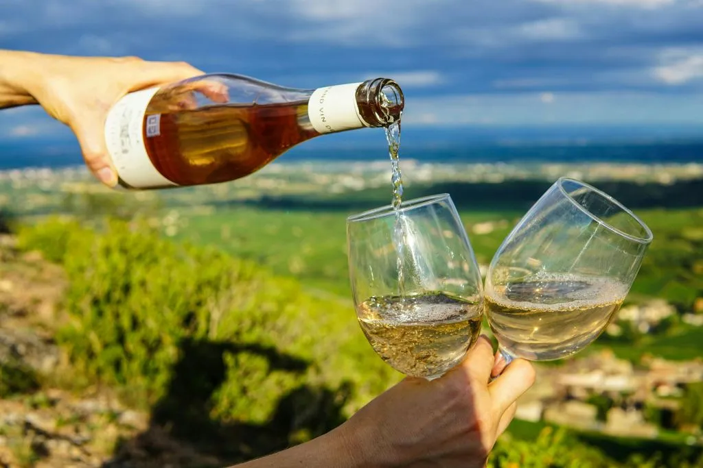 Vallée de la Loire : Visite guidée des vignobles de Vouvray depuis Tours + Dégustation