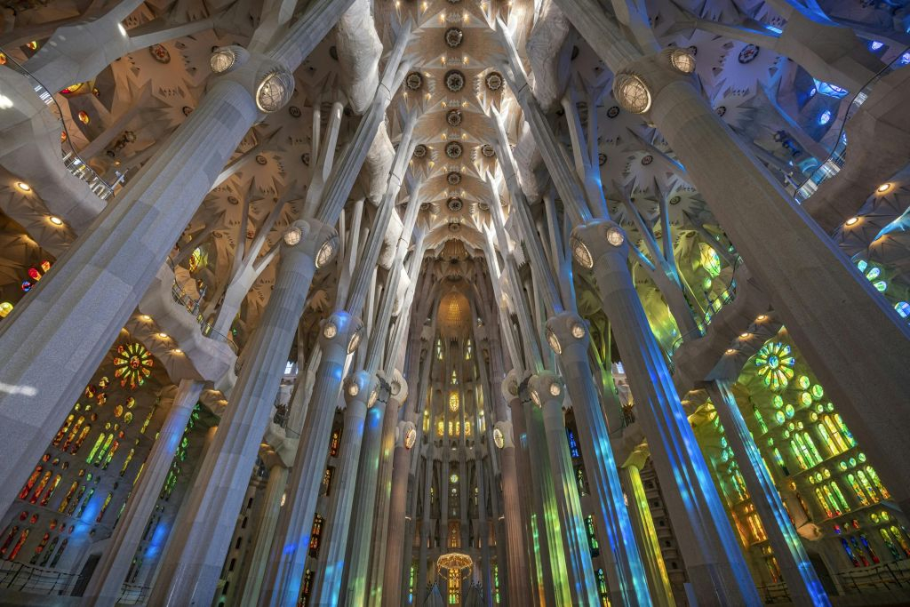 Sagrada Familia: Go With a Local Guided Tour