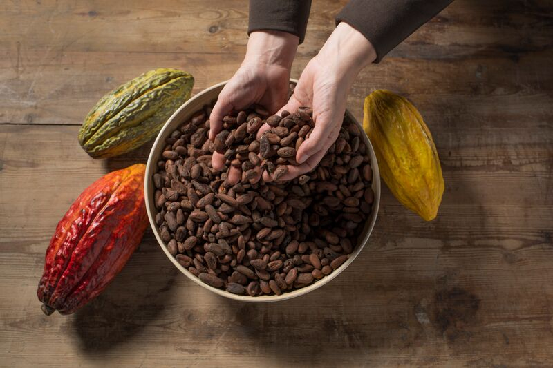 Simón Coll Chocolate Experience: Guided Visit