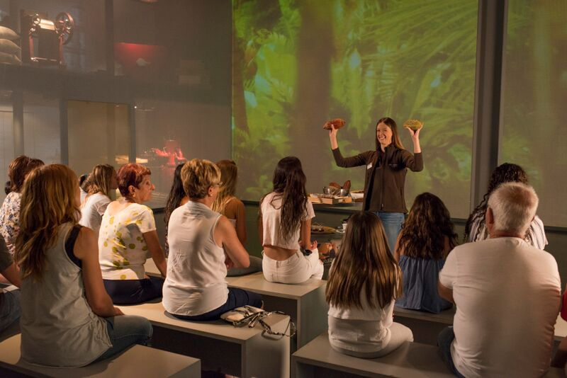 Simón Coll Chocolate Experience: Guided Visit