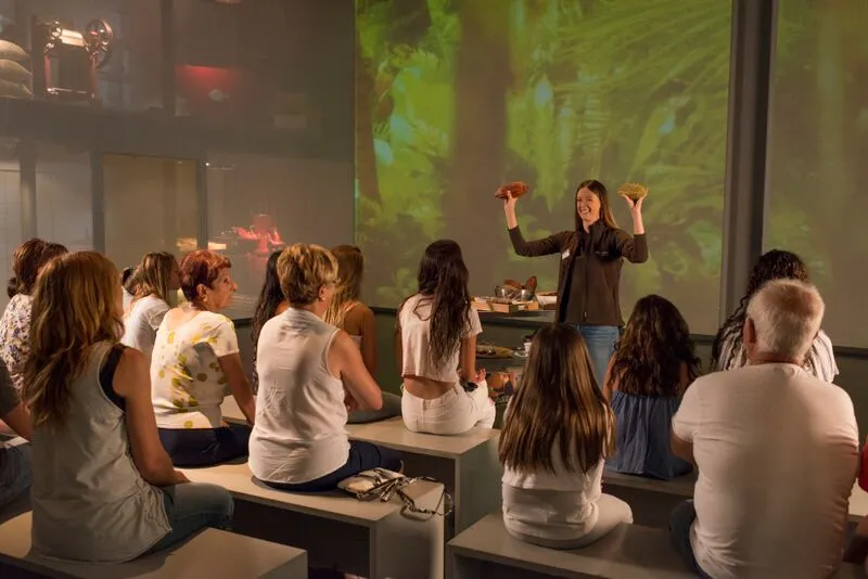 Simón Coll Chocolate Experience: Guided Visit