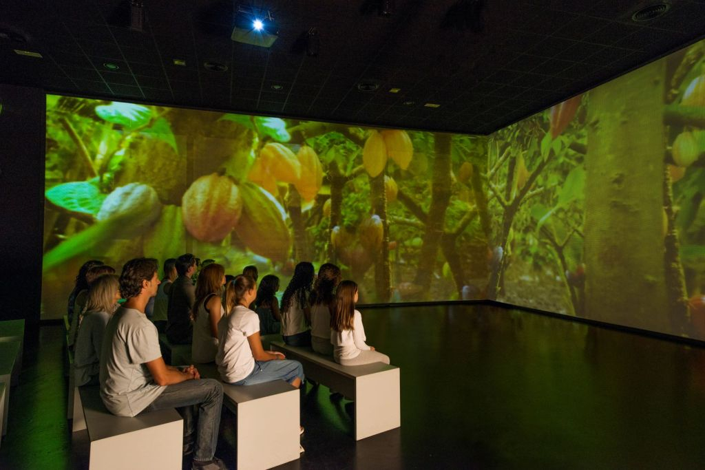 Simón Coll Chocolate Experience: Guided Visit