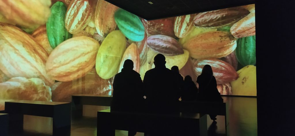 Simón Coll Chocolate Experience: Guided Visit