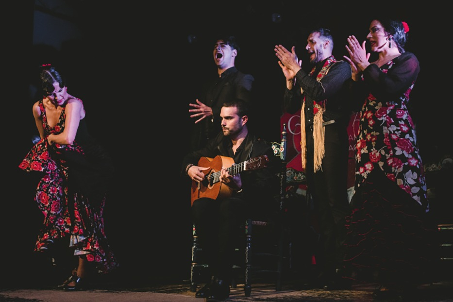 Casa Ana Granada: Spettacolo di flamenco tradizionale