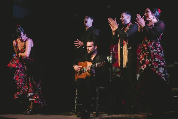 Casa Ana Granada: Espectáculo Flamenco Tradicional