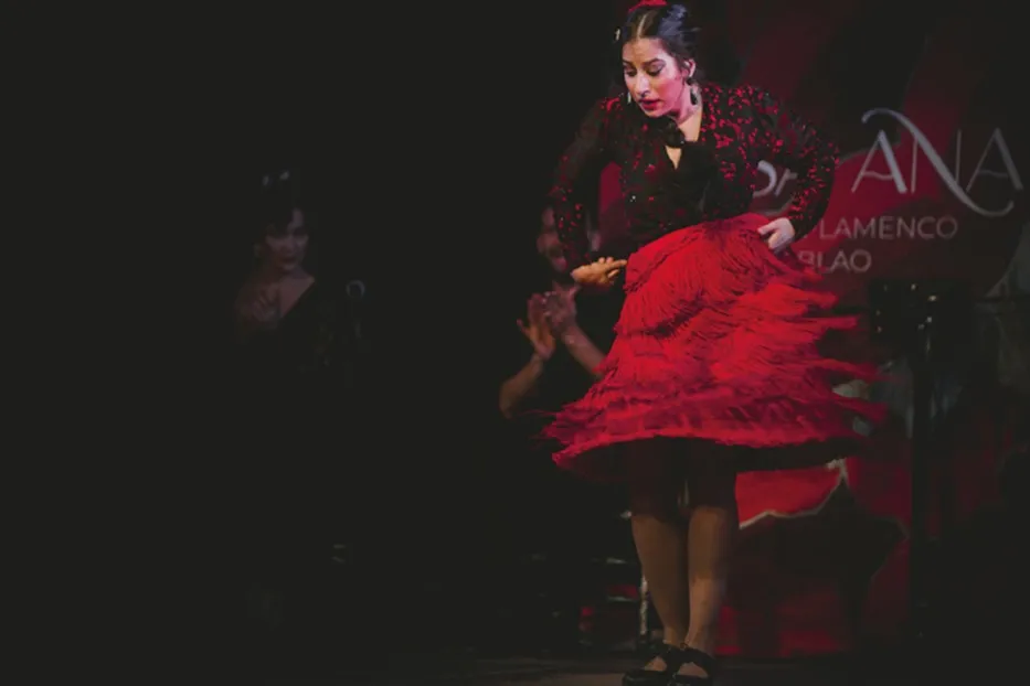 Casa Ana Granada: Espectáculo Flamenco Tradicional